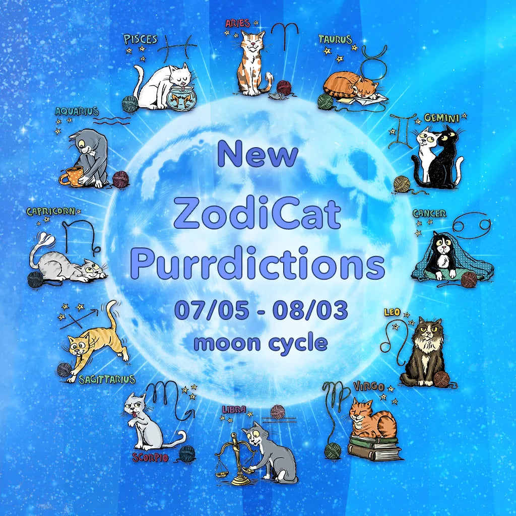 July 5 to August 3 - Purrdictions