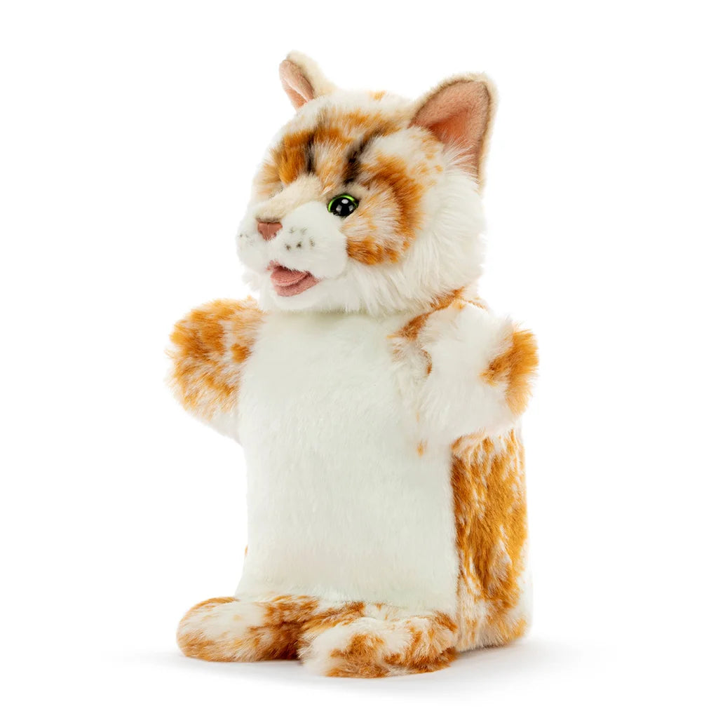 Maine Coon Cat - Puppet
