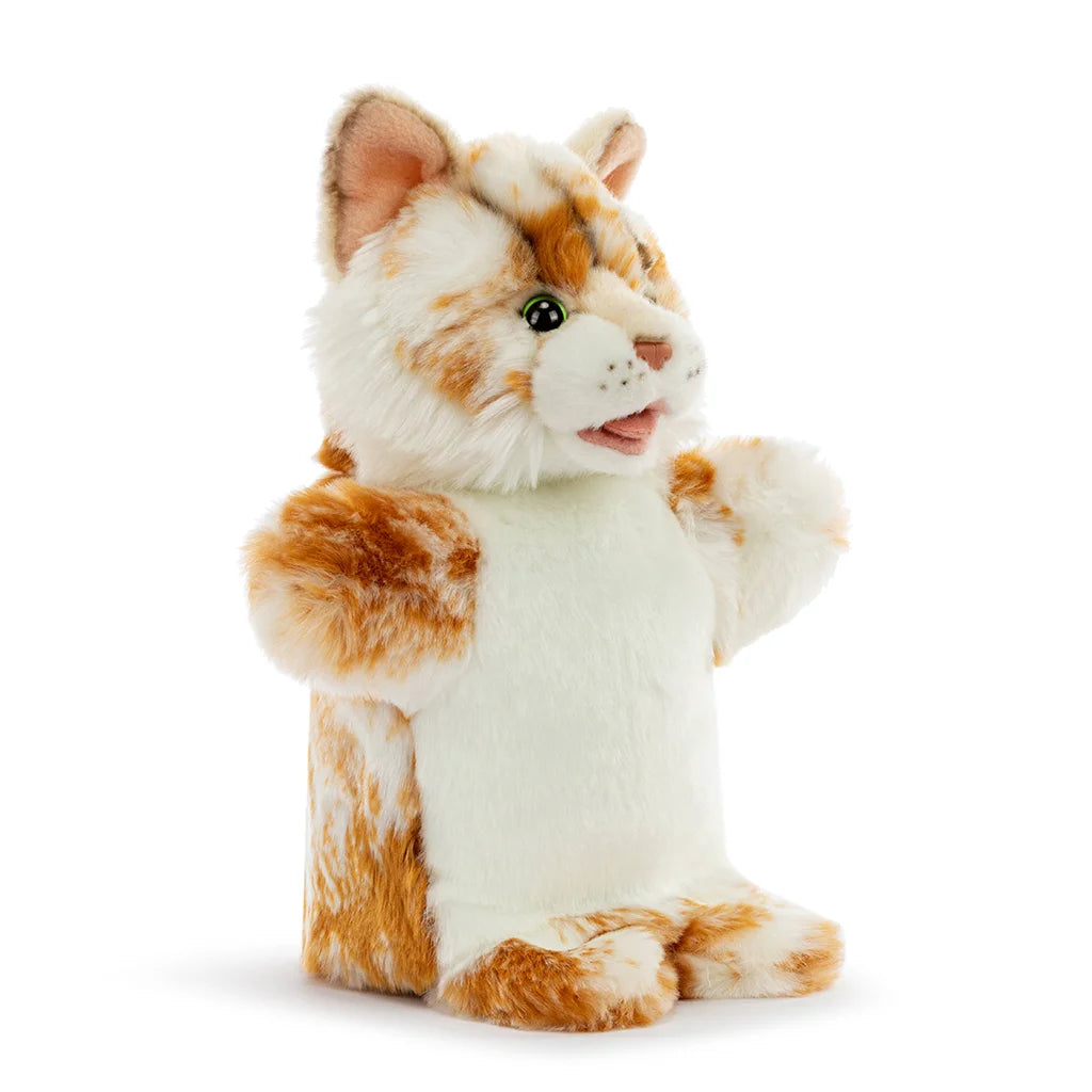 Maine Coon Cat - Puppet