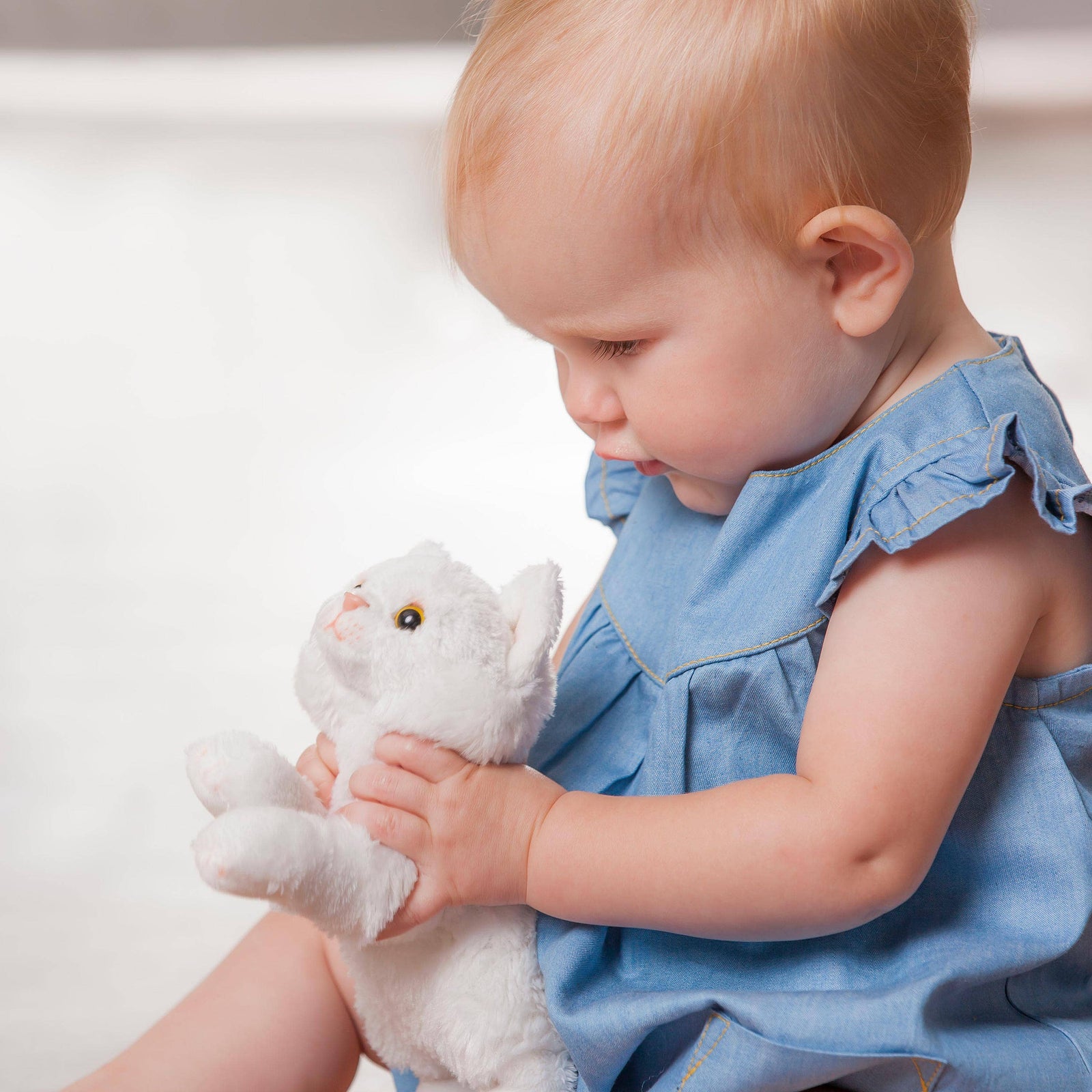 Persian White Cat - Plushy Bean Bag