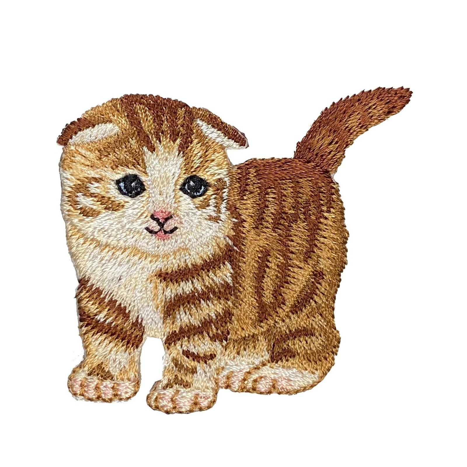 Scottish Fold Orange Tabby Cat - Embroidered Iron on Patch