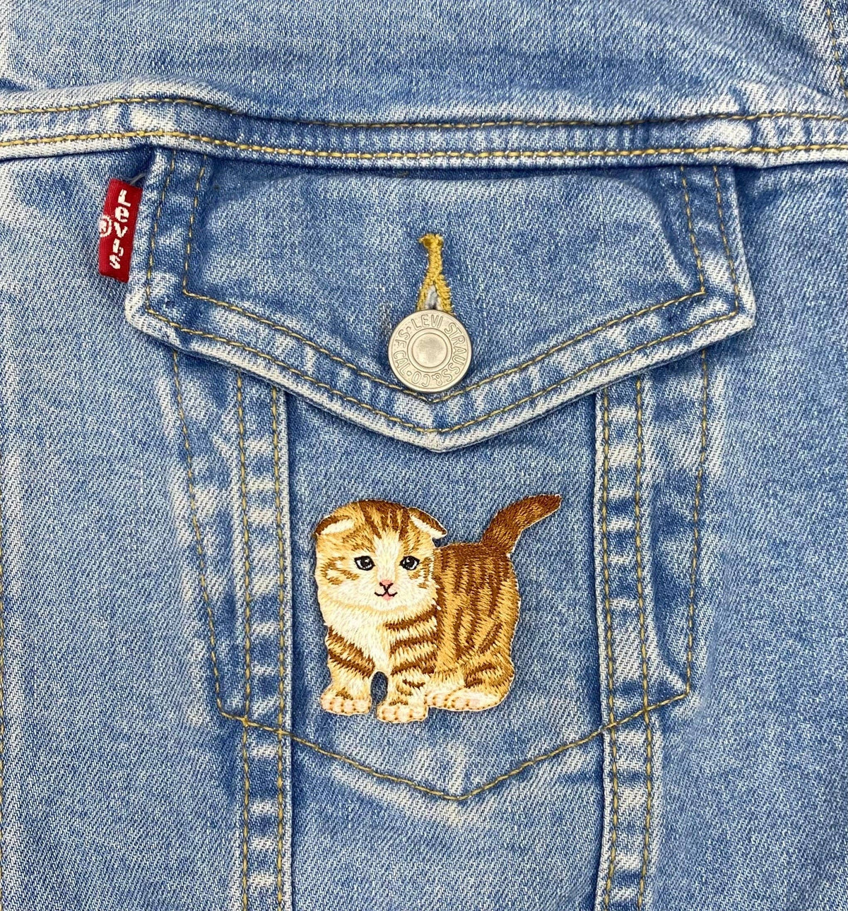 Scottish Fold Orange Tabby Cat - Embroidered Iron on Patch