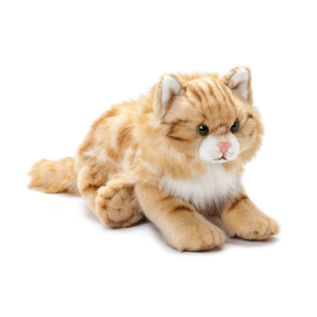 Cuddly Maine Coon Cat - Plushy