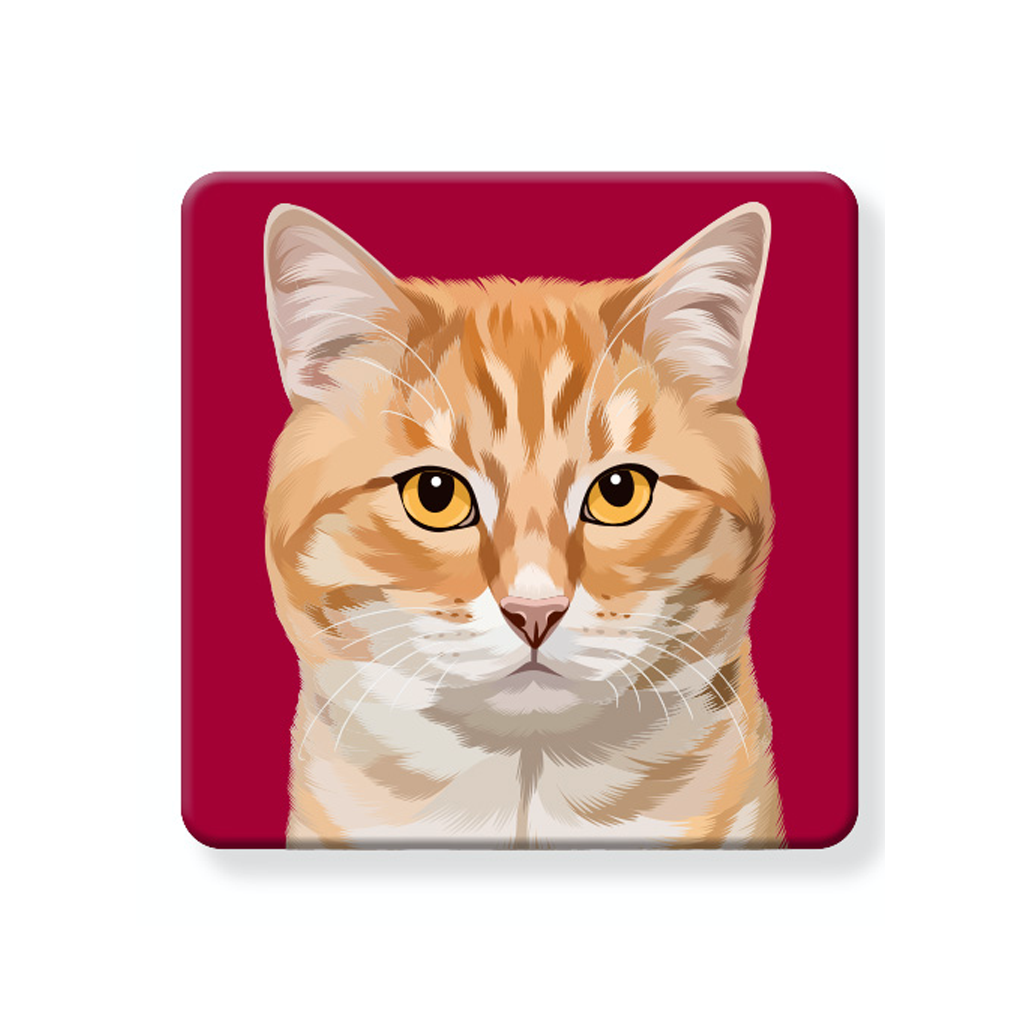 Orange Tabby - Cork Coaster