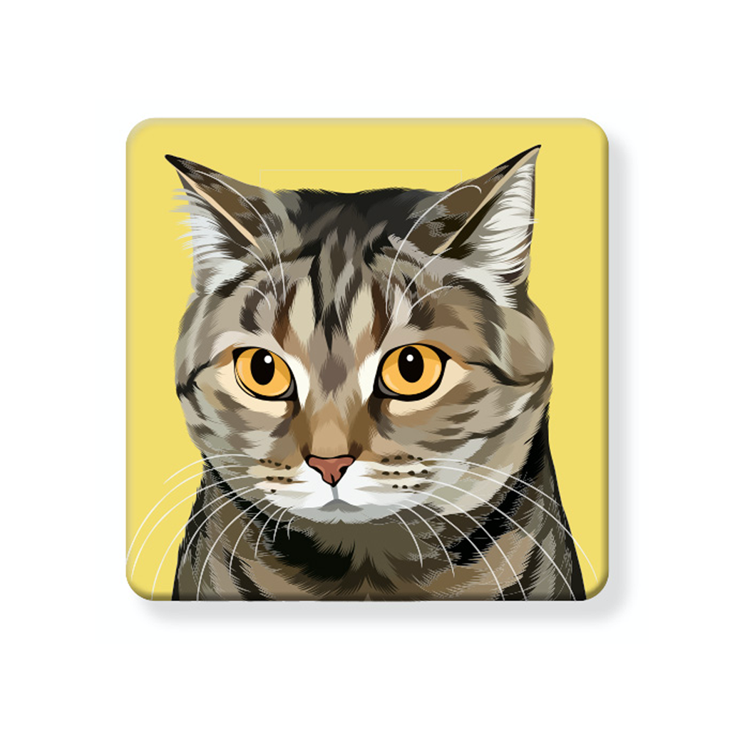 Grey Tabby - Cork Coaster