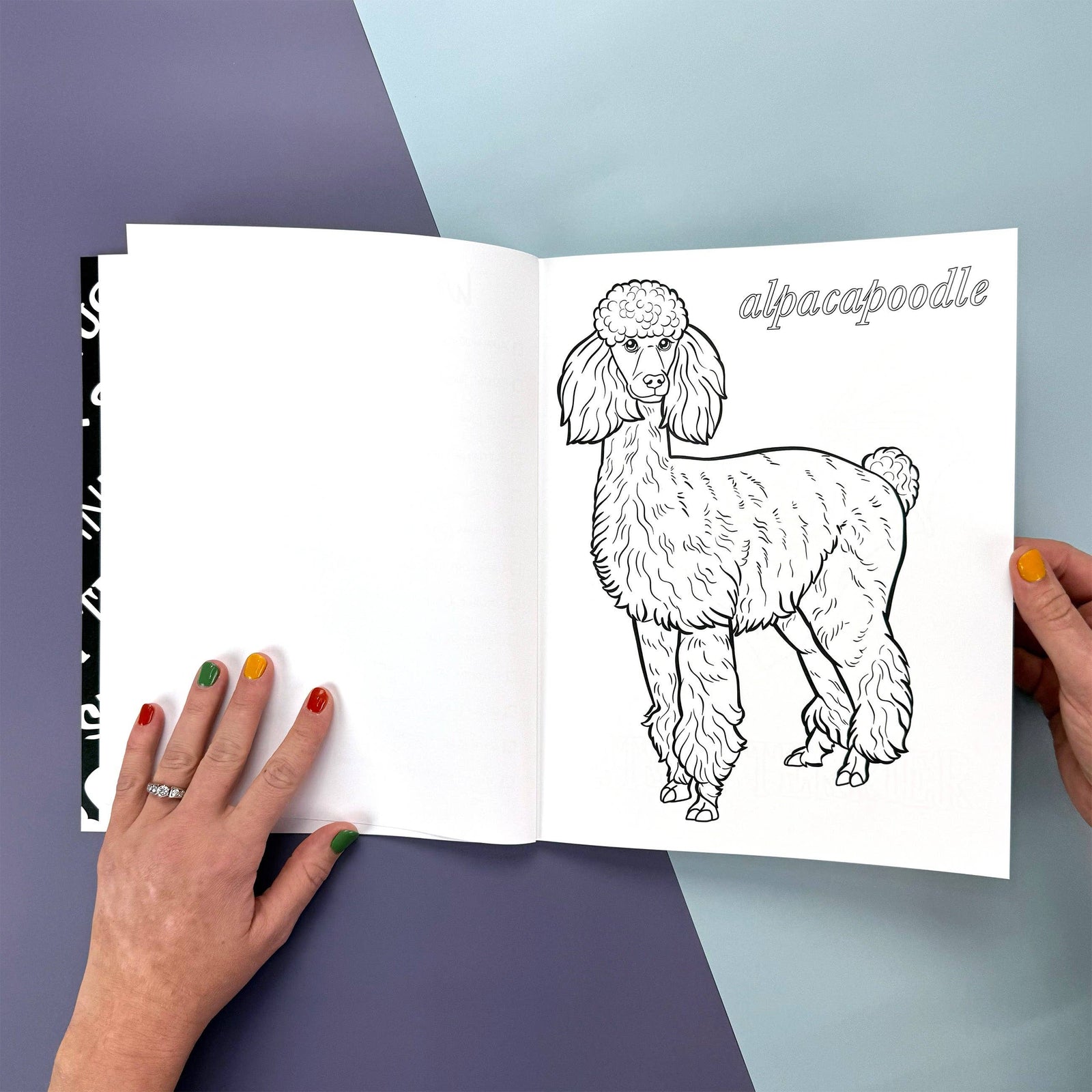 Whatif Hybrid Animal - Coloring Book