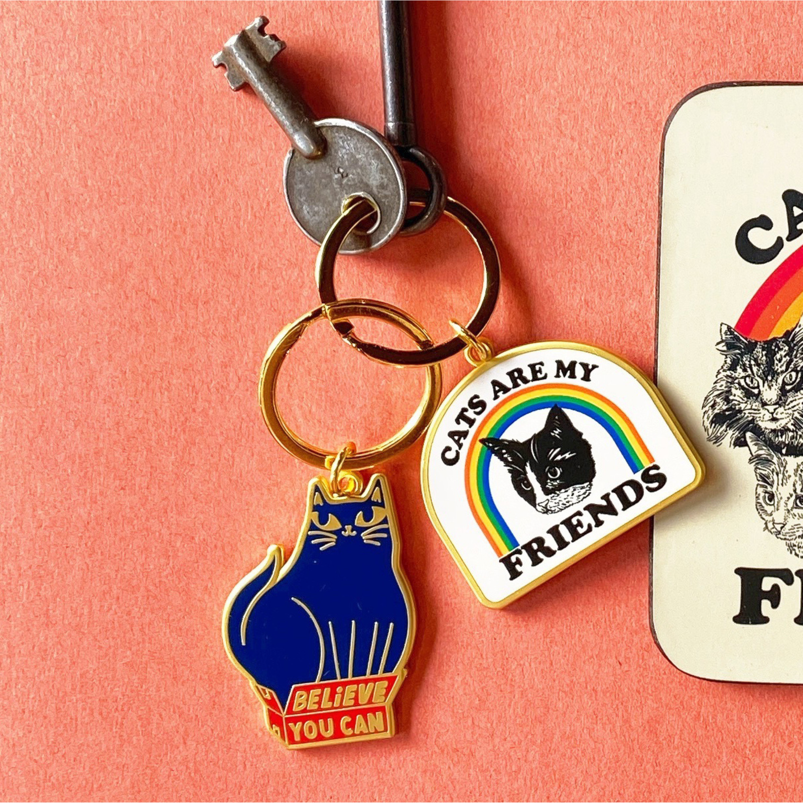 Cats Are My Friends - Keychain