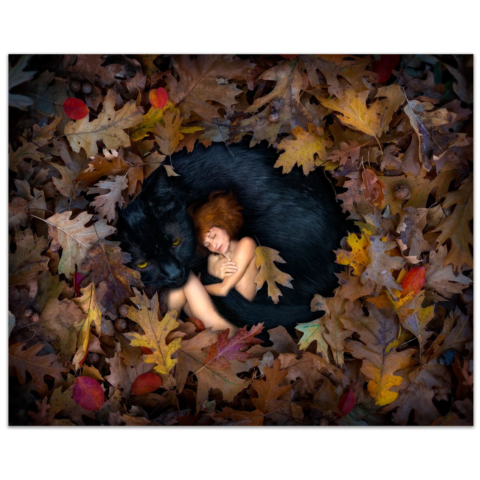 Fall In Love - Black Cat - Archival Art Print