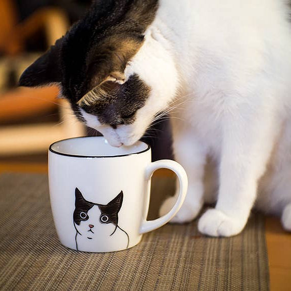 Curious Tuxedo Cat - Ceramic Mug - 10oz