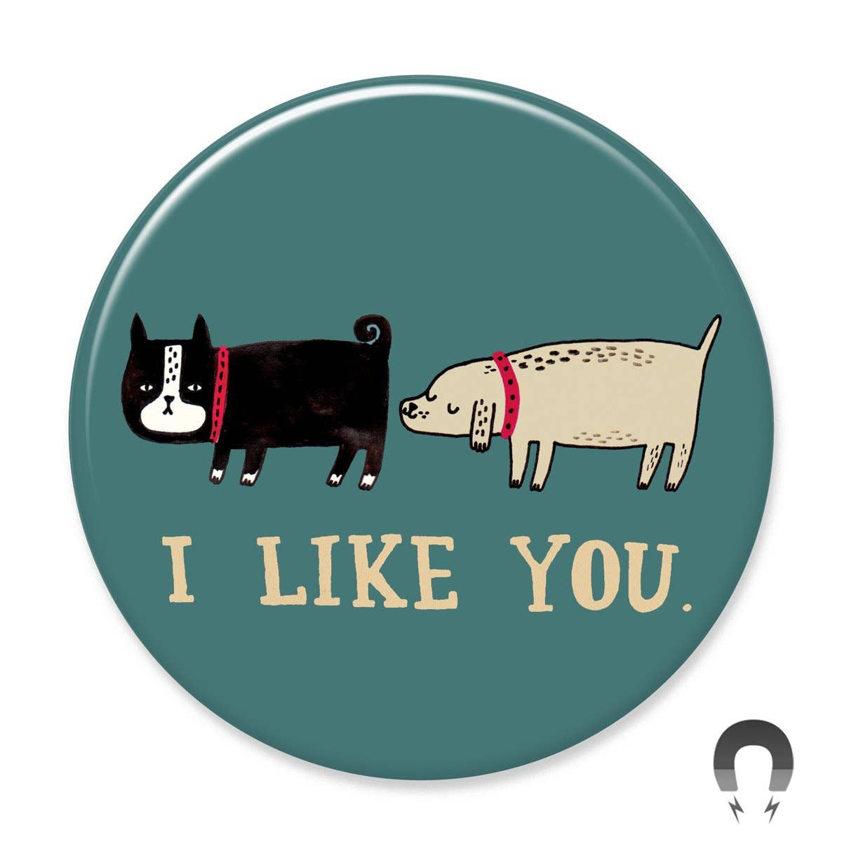 I Like You - Magnet