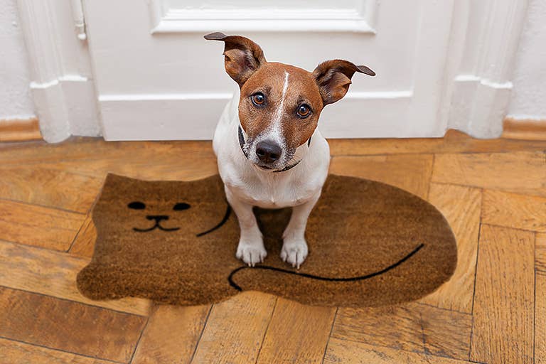Resting Cat - Natural Coir Doormat