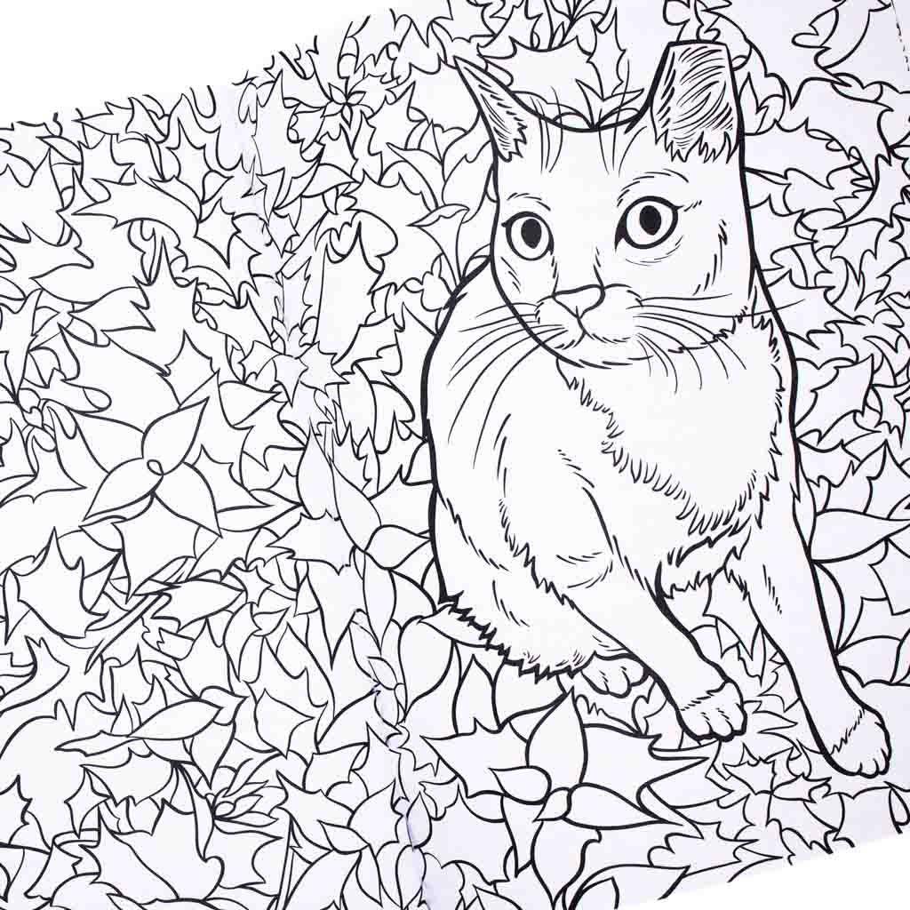 Cats and Plants - Coloring Book - GiftyKitty