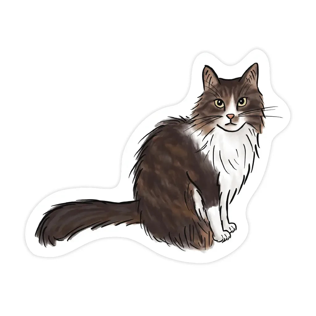 Illustration of a tabby maine coon cat on a white background