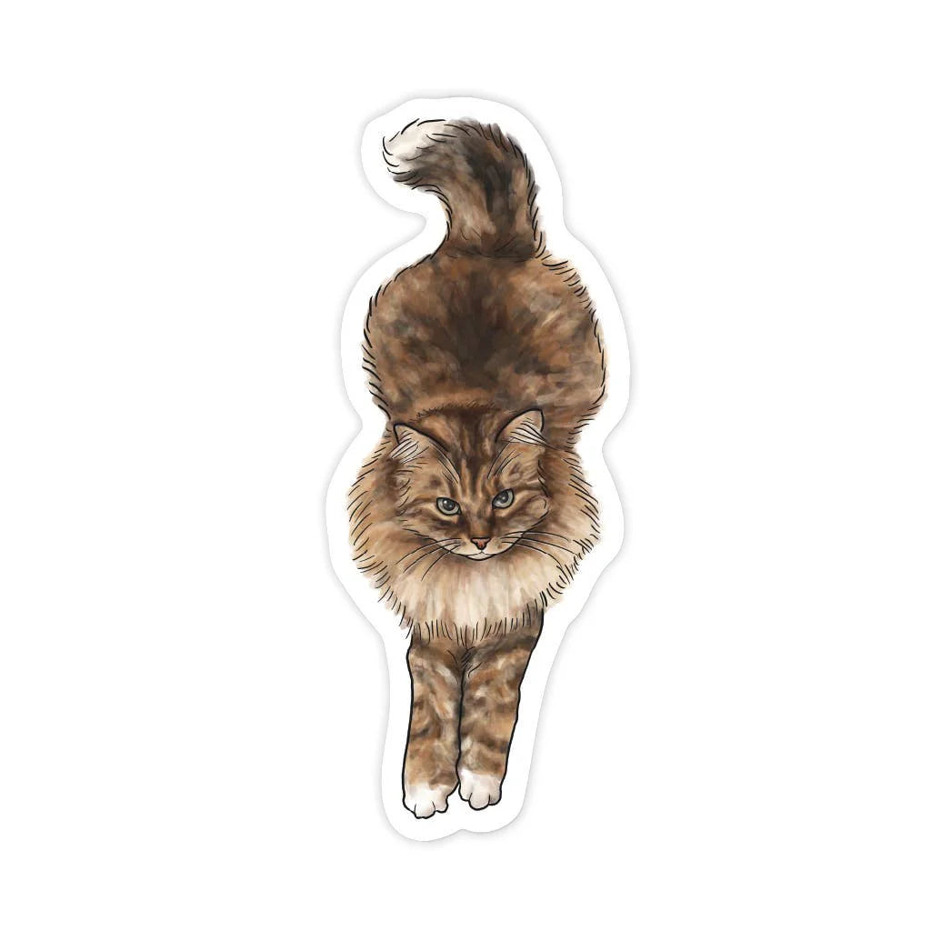 Illustration of a fluffy brown tabby cat on a white background