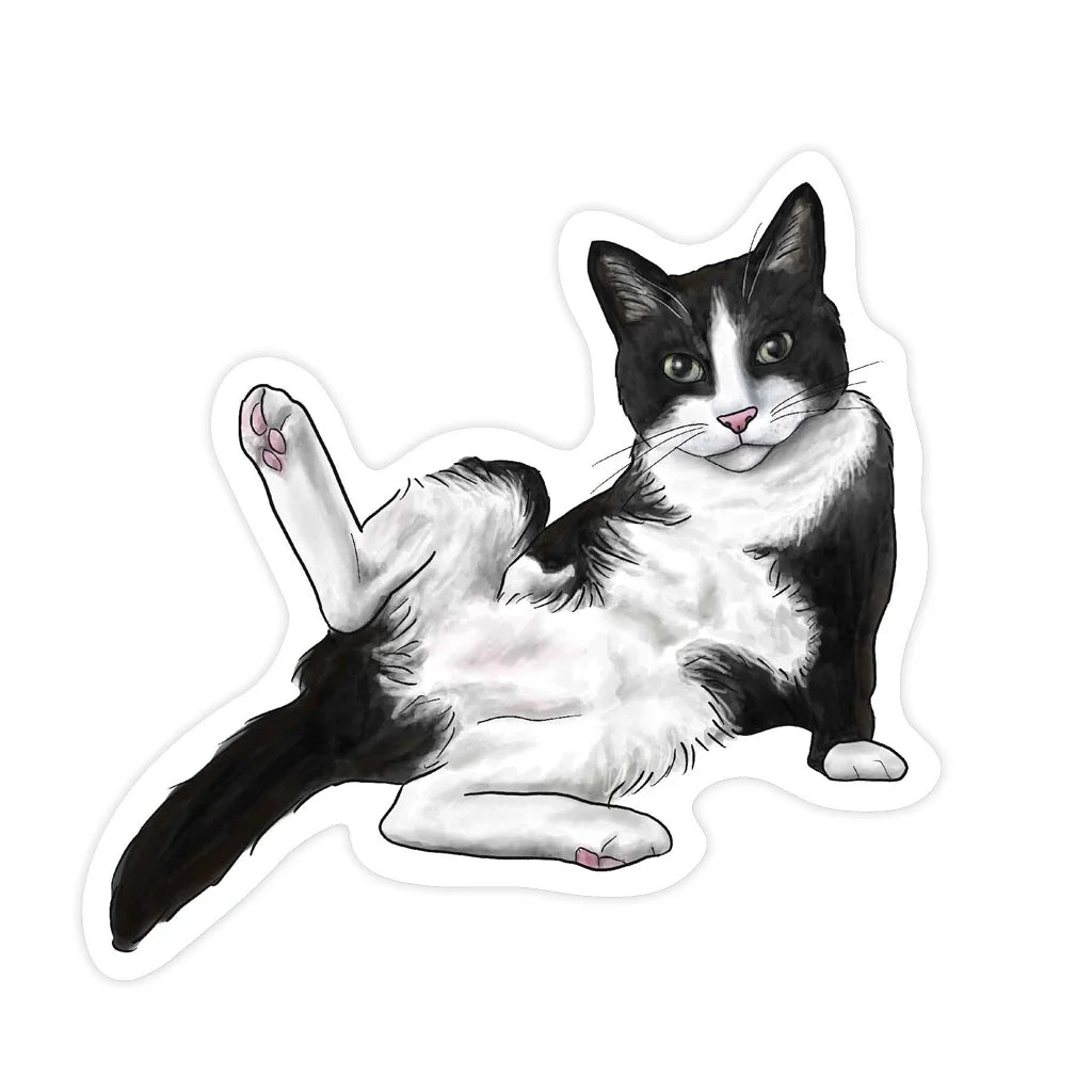 Illustration of a black and white cat lying on its side with one paw raised.