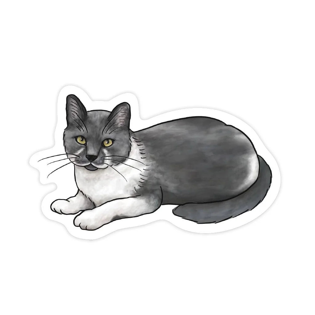 Illustration of a gray and white cat on a white background