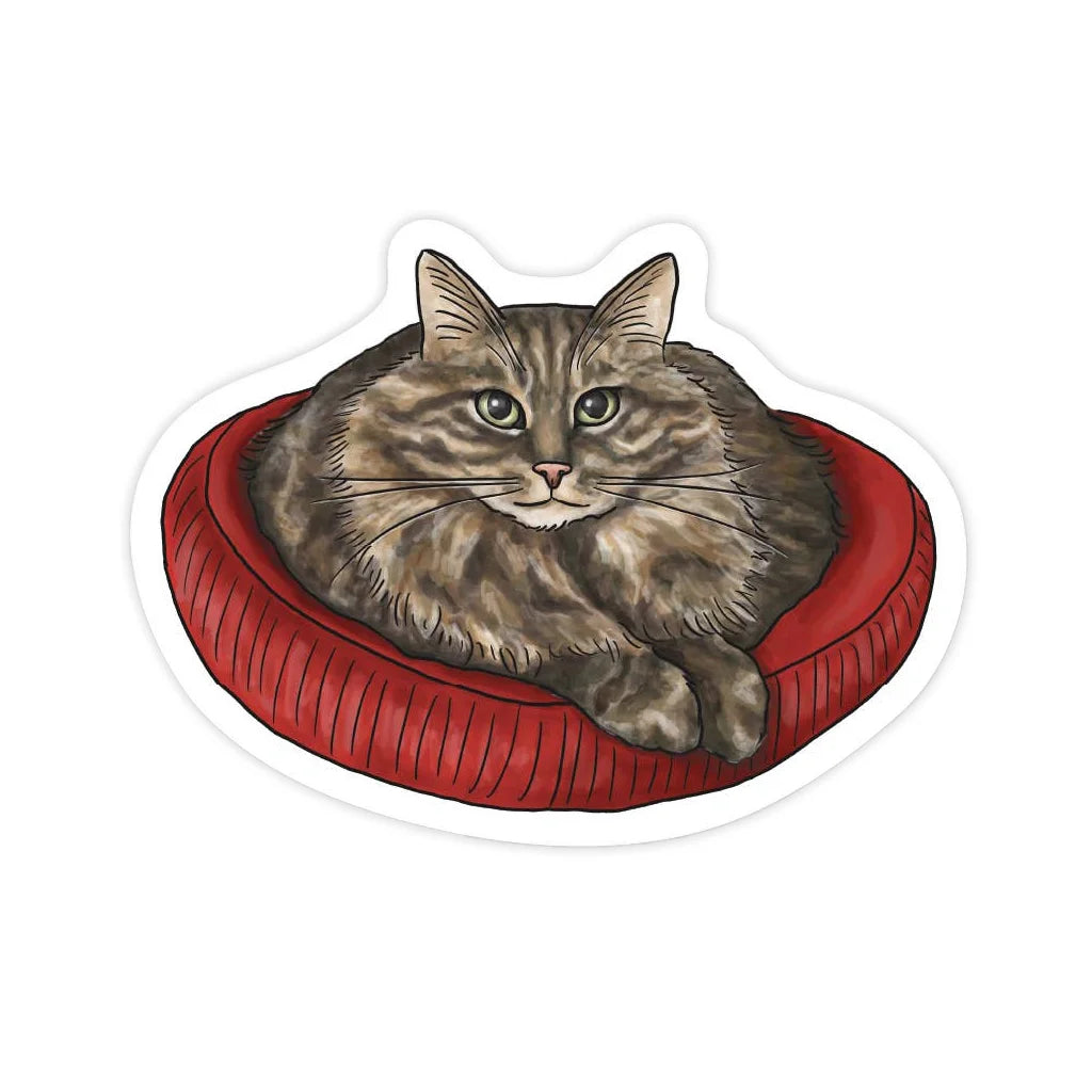 Fluffy cat lying on a red cushion with a white background