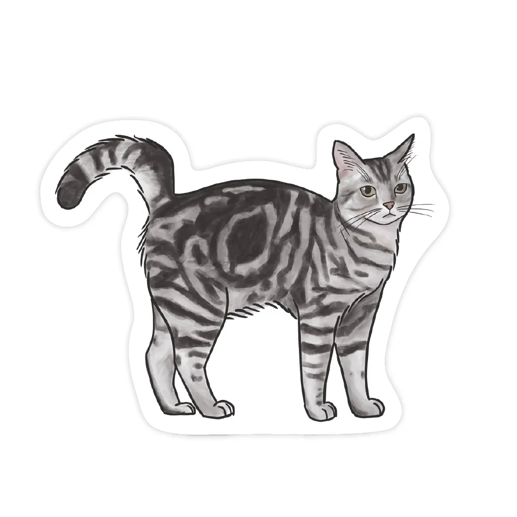 Illustration of a gray tabby cat on a white background