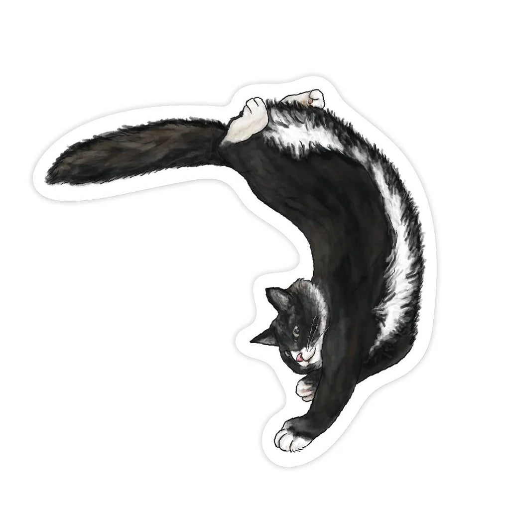 Illustration of a black and white cat stretching on a white background
