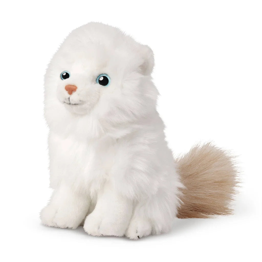 Ragdoll Kitten - Plush Animal Toy