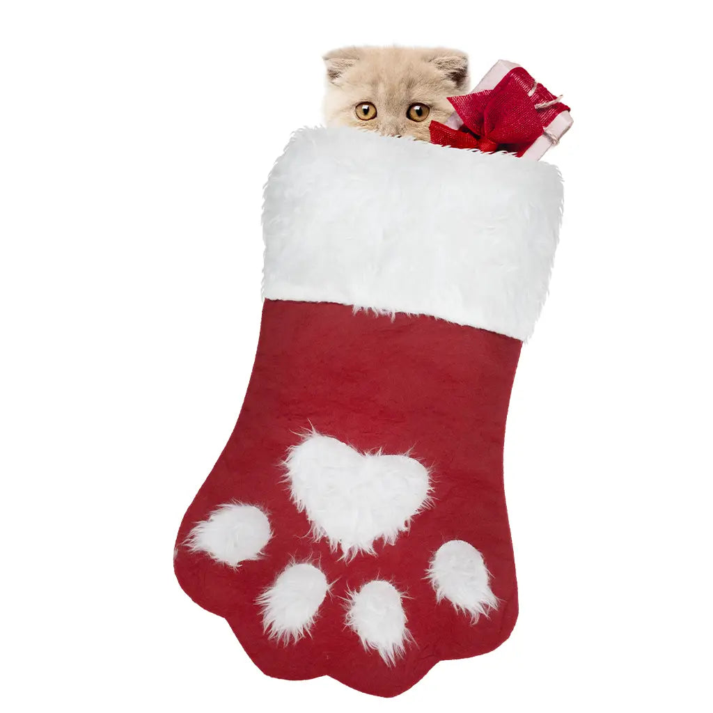 Kitty Cat Paw - Stocking