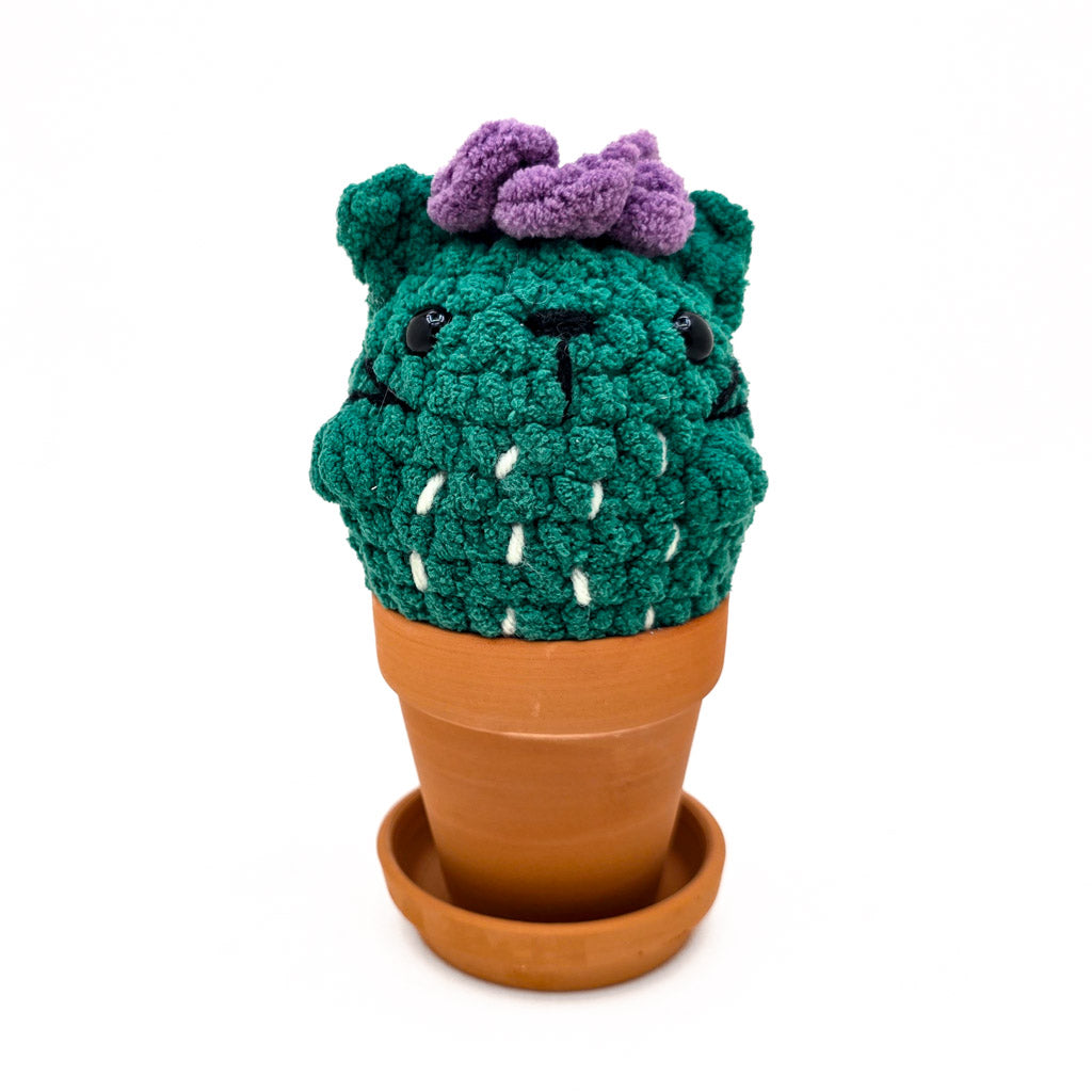 Potted Flowering Cattus - Super Soft Hand Crochet