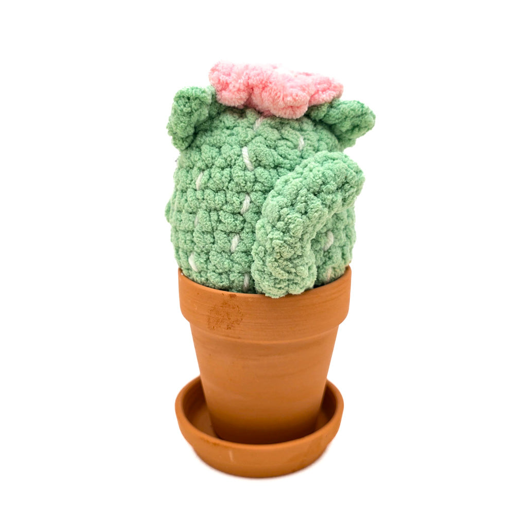 Potted Flowering Cattus - Super Soft Hand Crochet