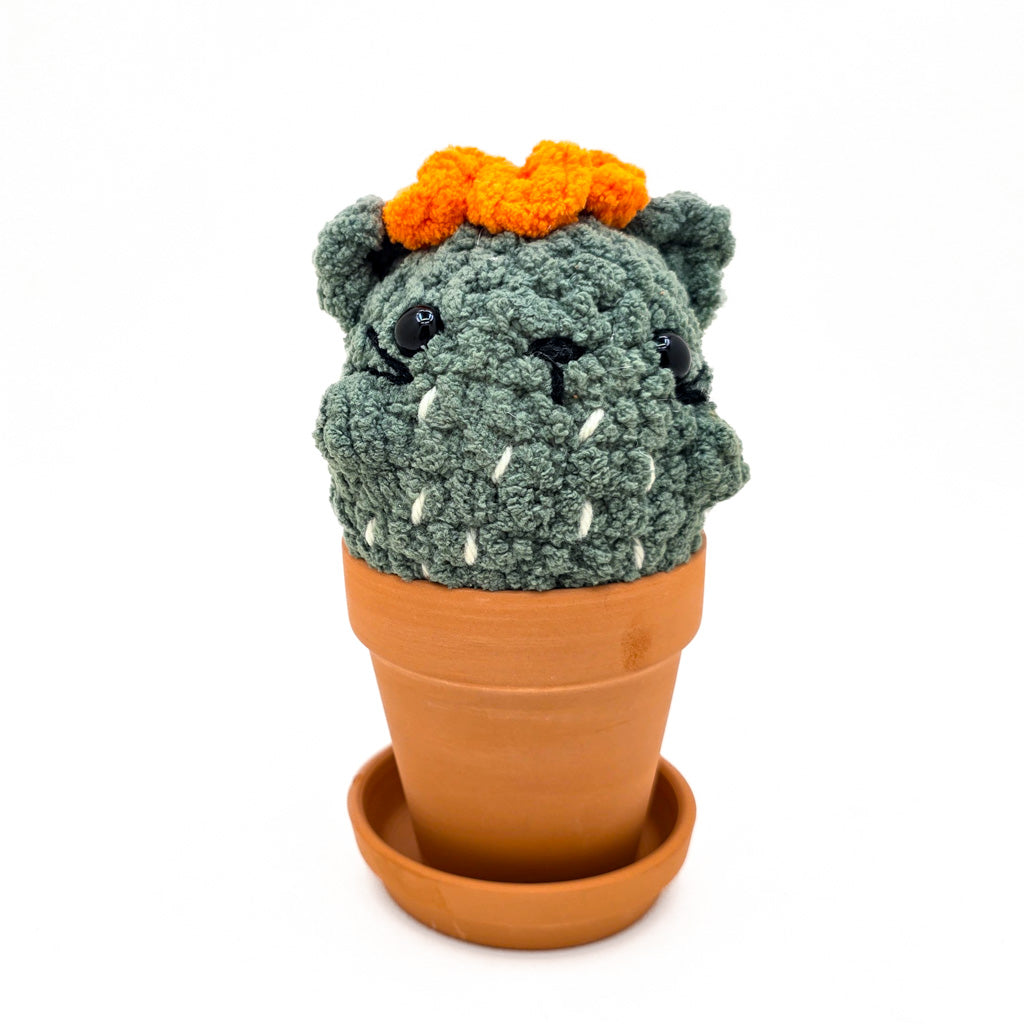 Potted Flowering Cattus - Super Soft Hand Crochet