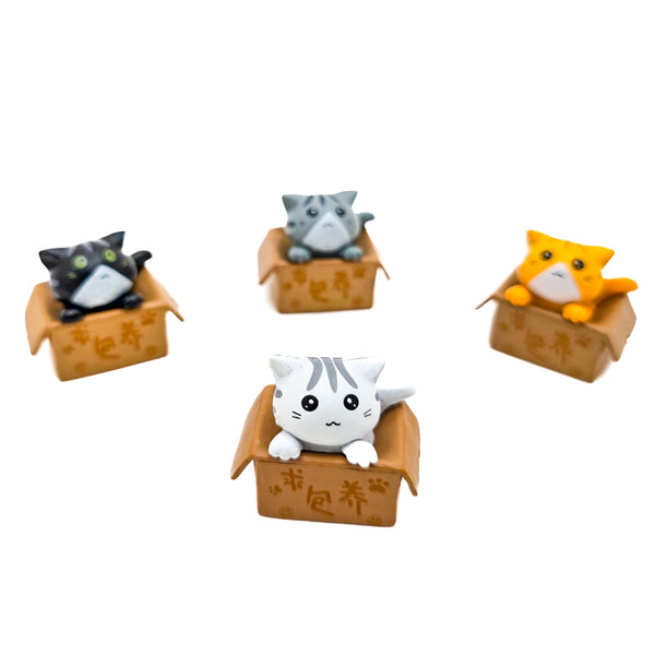 FUN CATS - GiftyKitty