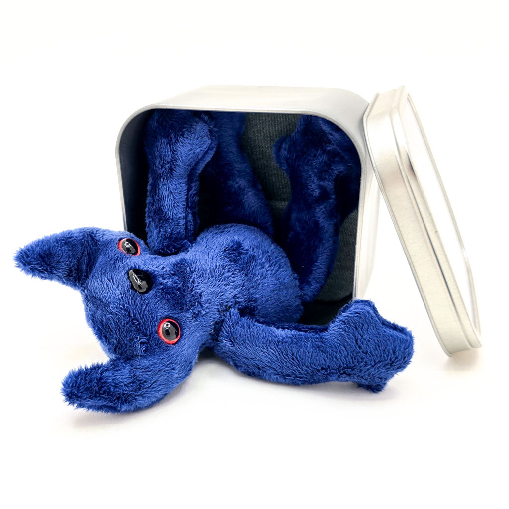 Blue Kitty Kit-Tins - Handmade Cat Plushie in a Tin