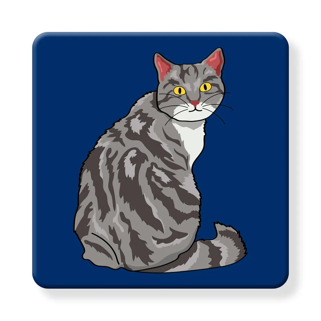 Grey Tabby on blue- Cork Coaster