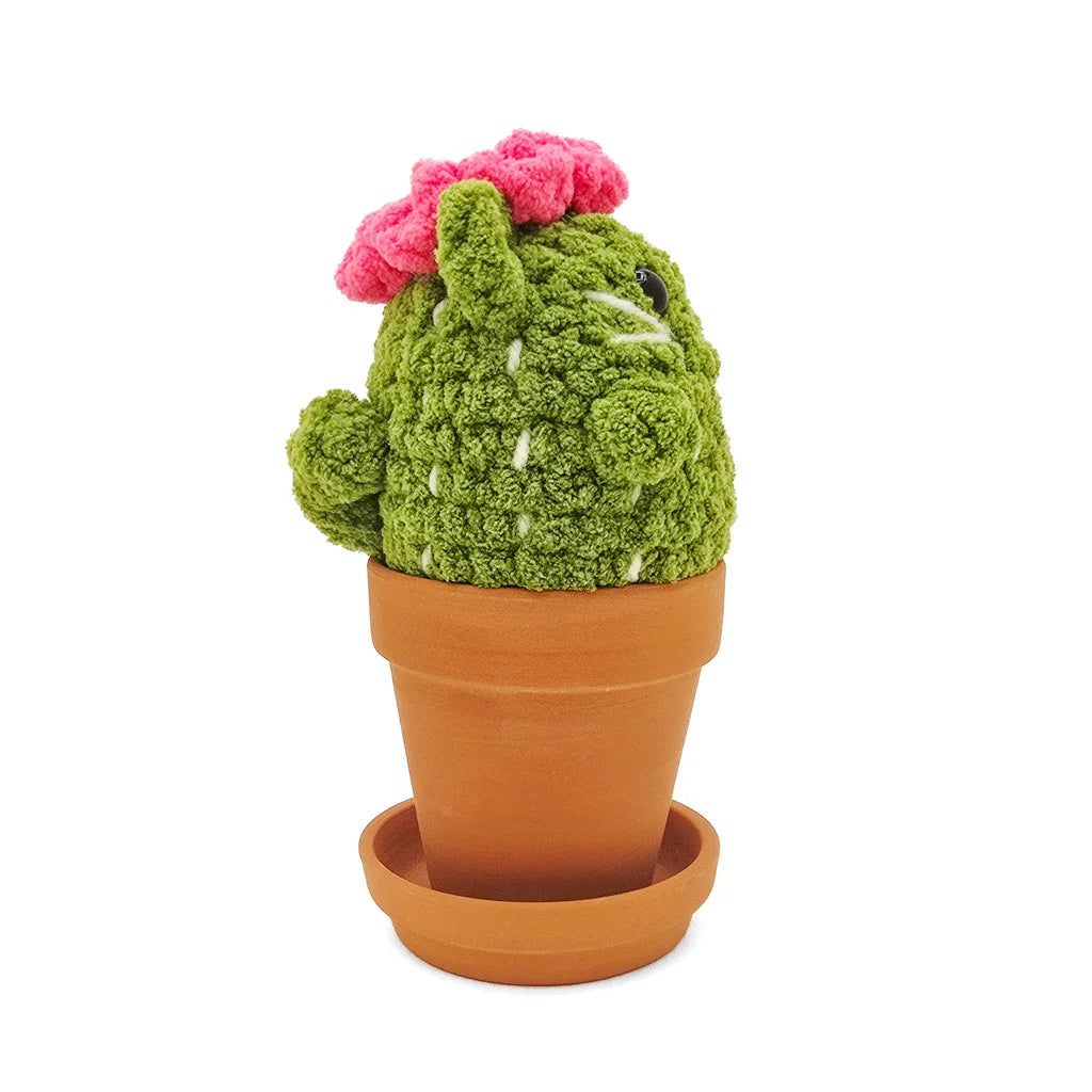 Potted Flowering Cattus - Super Soft Hand Crochet
