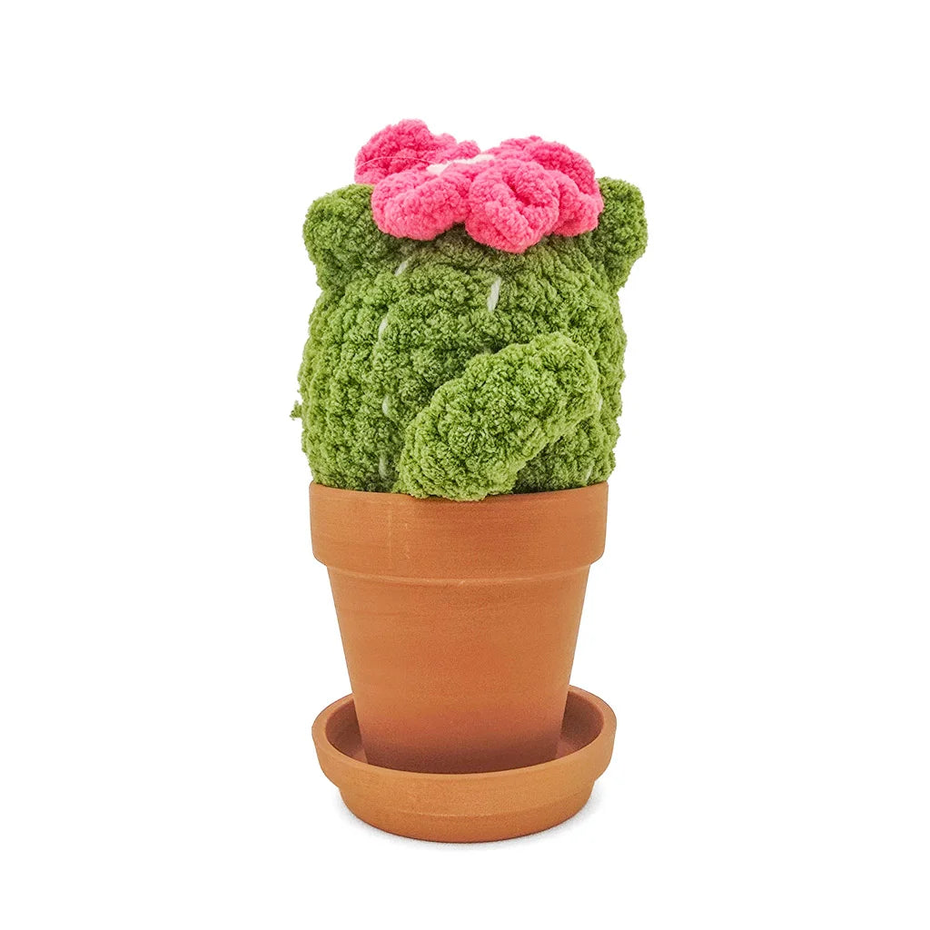 Potted Flowering Cattus - Super Soft Hand Crochet
