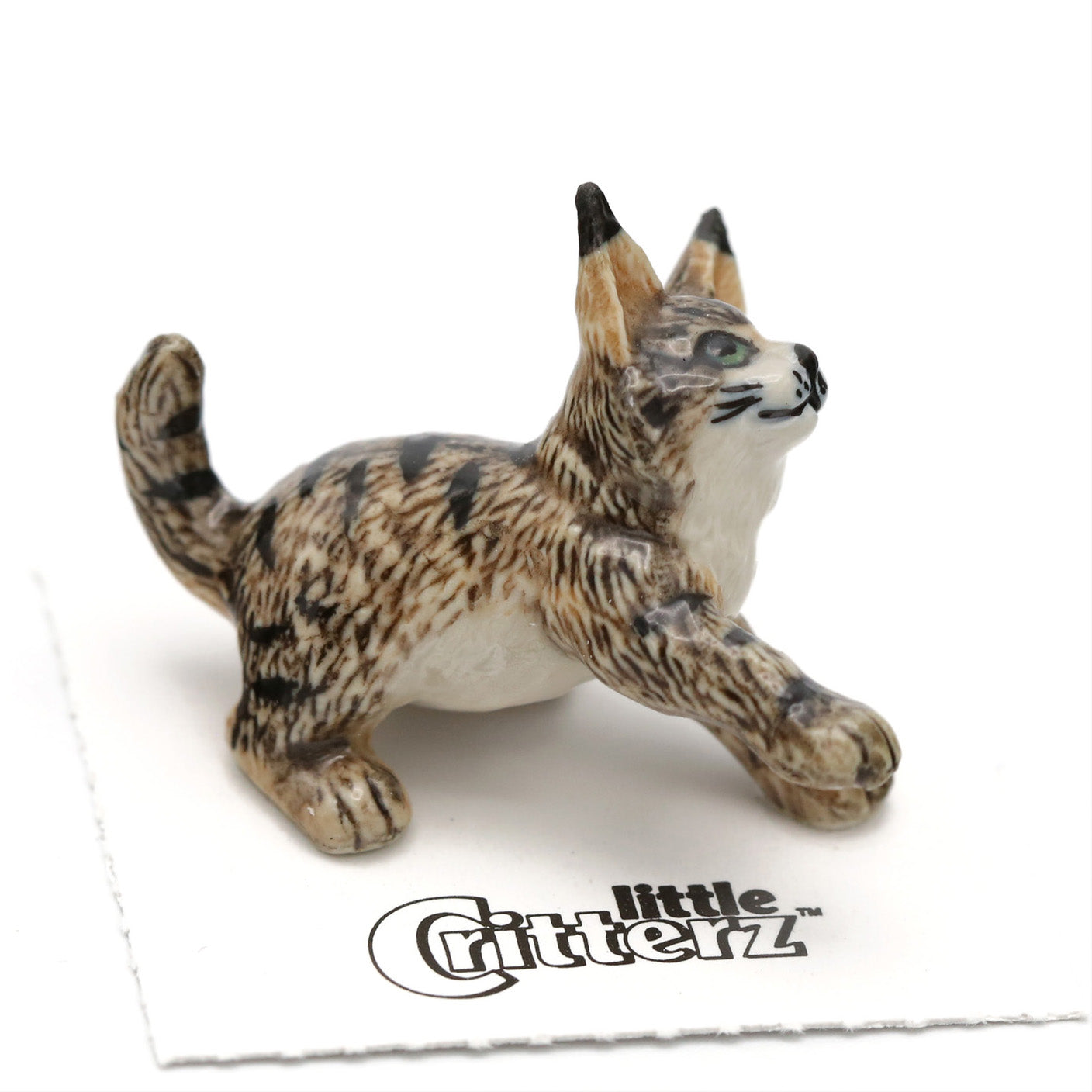 Cosey Maine Coon Kitten - Porcelain Mini Figurine