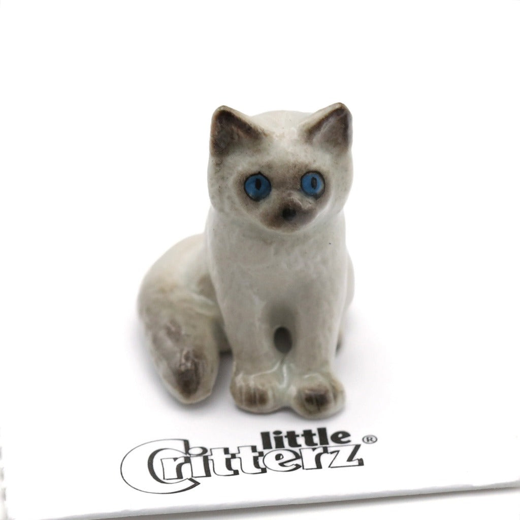 Samantha the Ragdoll Kitten - Porcelain Miniature Figure