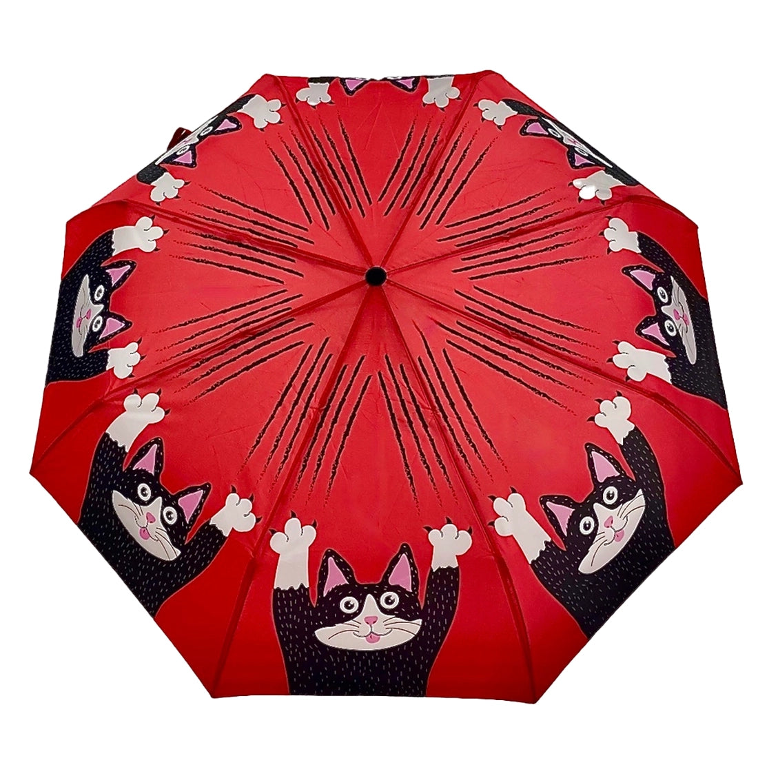 Red Cat Scratch - Umbrella