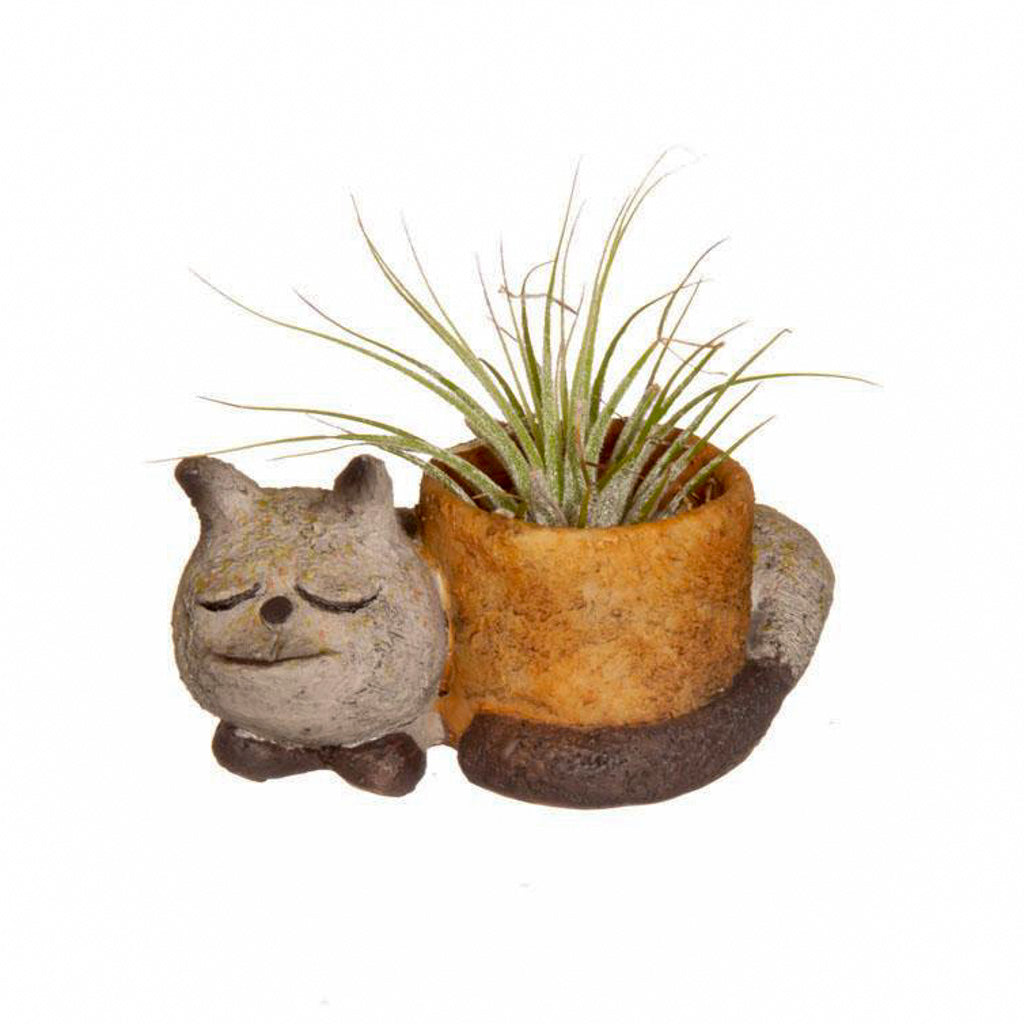 Sleepy Kitty - Cat Planter