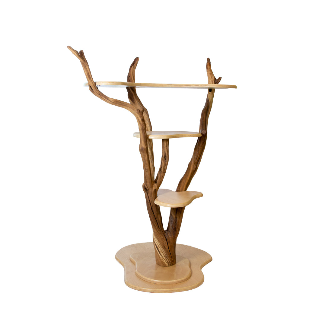 Manzanita Shelf - 4