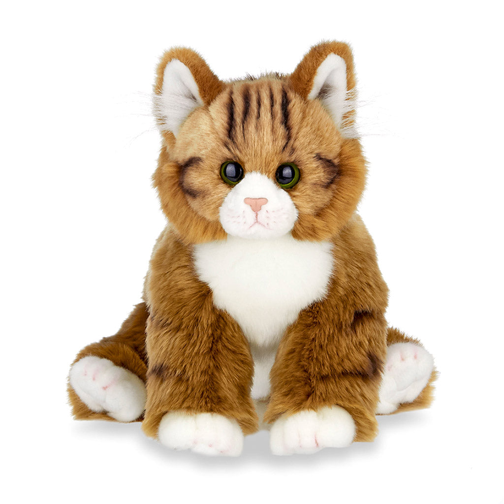 Manny the Maine Coon - Plush - GiftyKitty