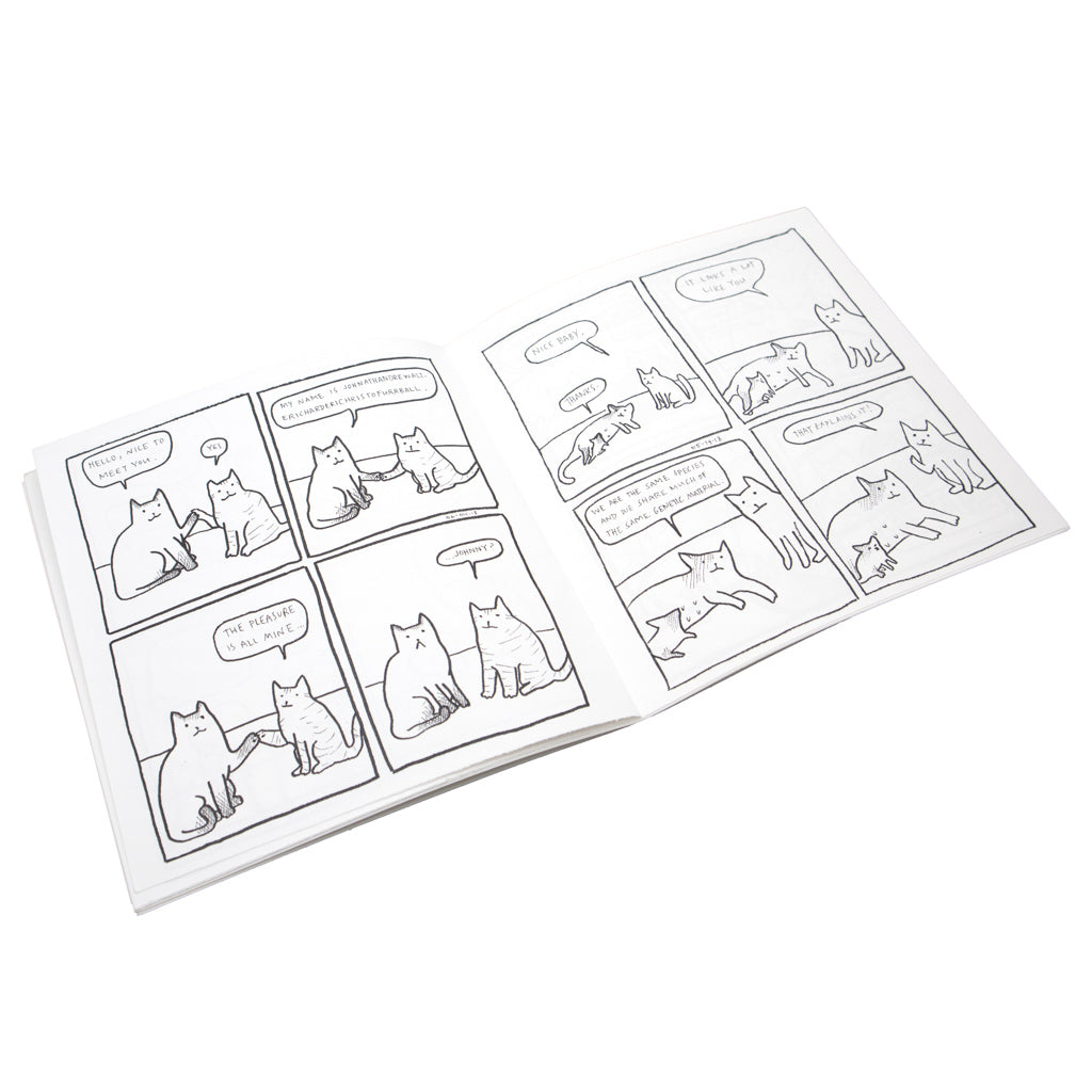 Cat Comic Book - Volume 5