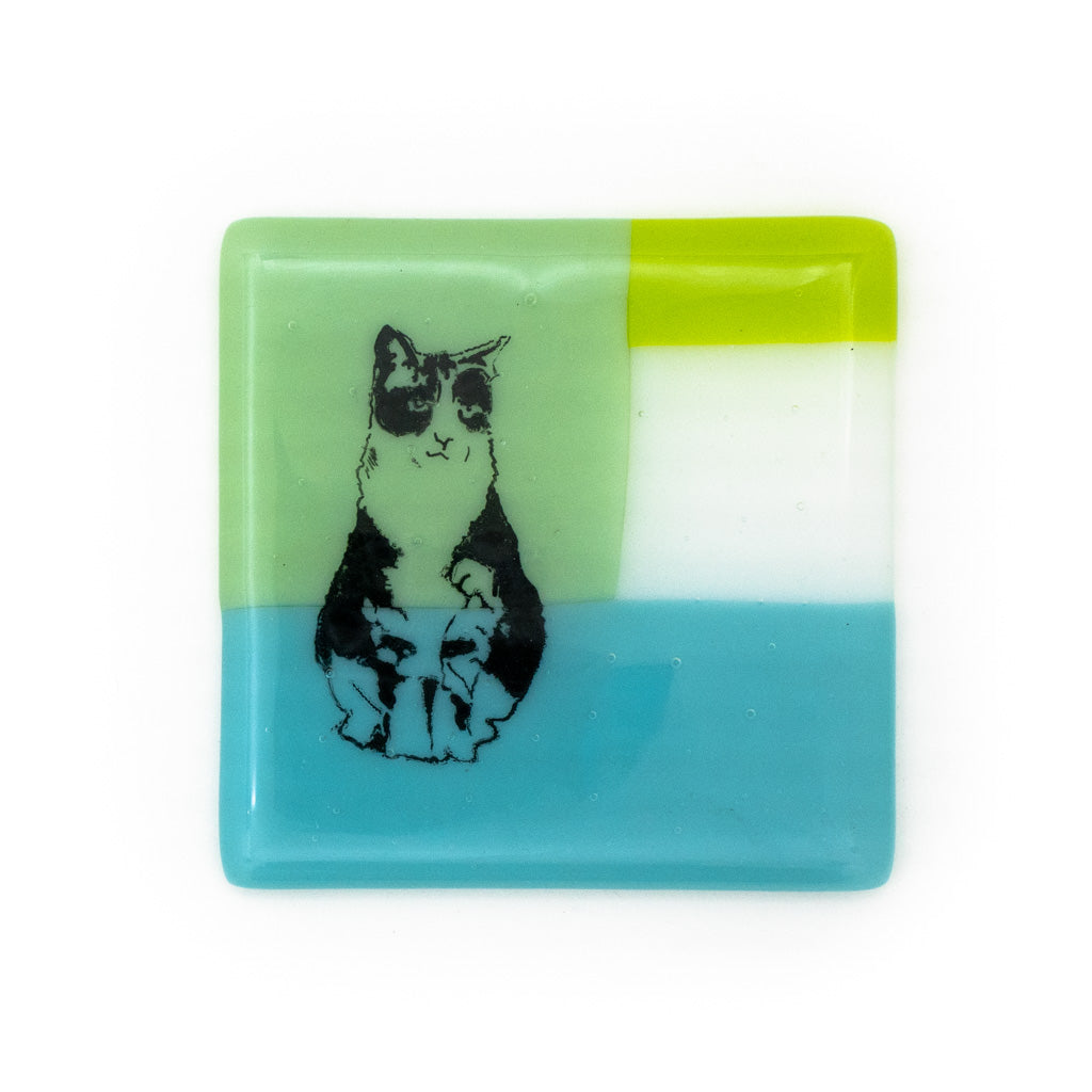 Black &amp; White Cat - Glass Coaster