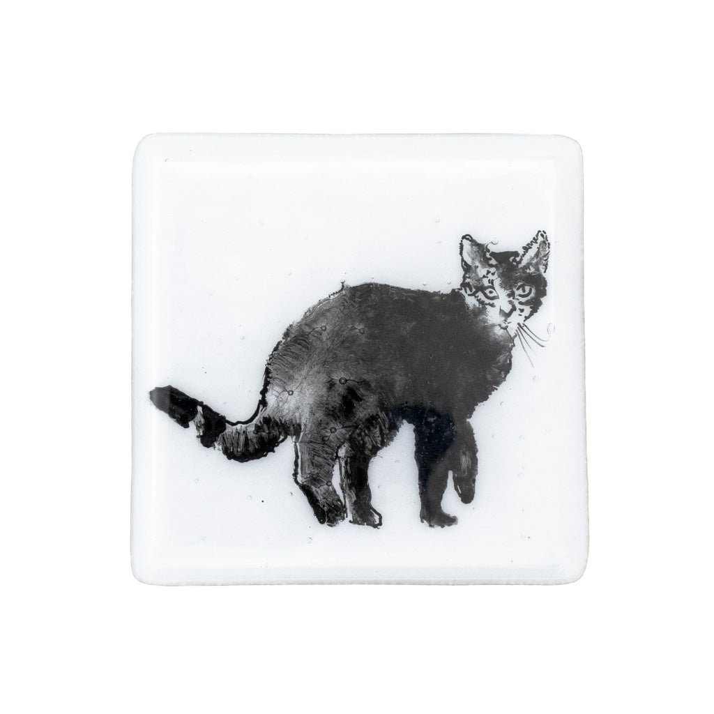 Fluffy Tabby Cat - Glass Coaster