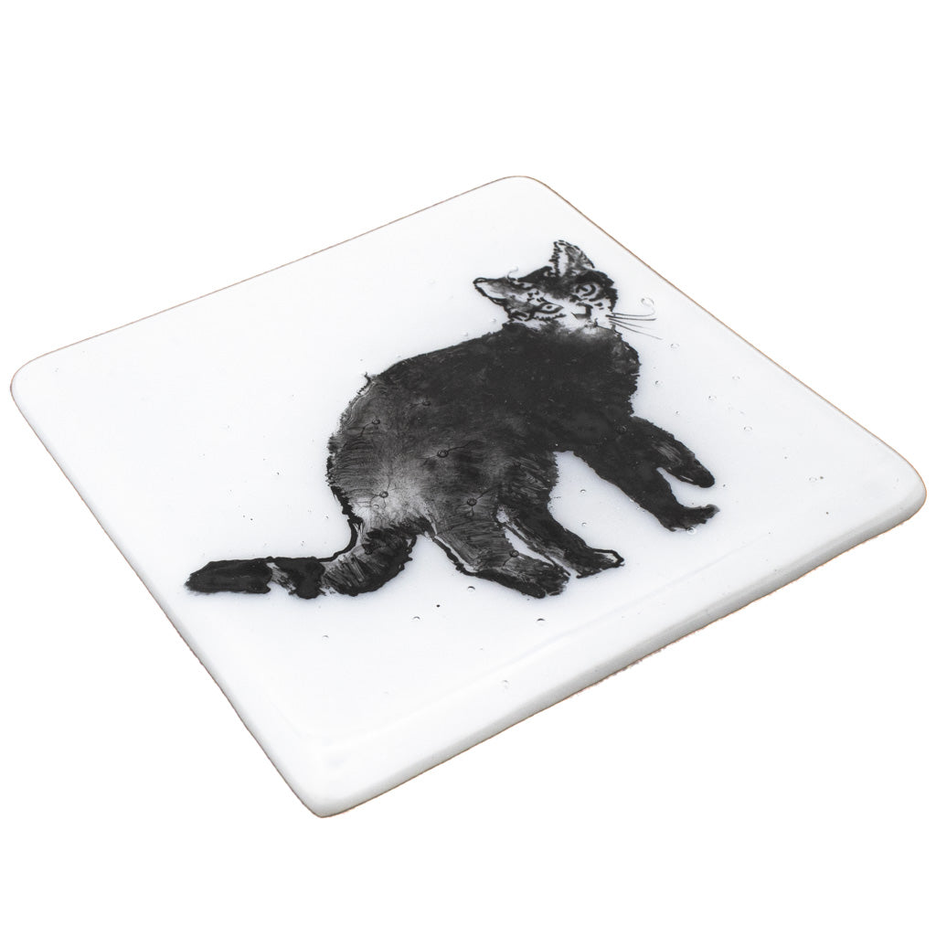 Fluffy Tabby Cat - Glass Coaster