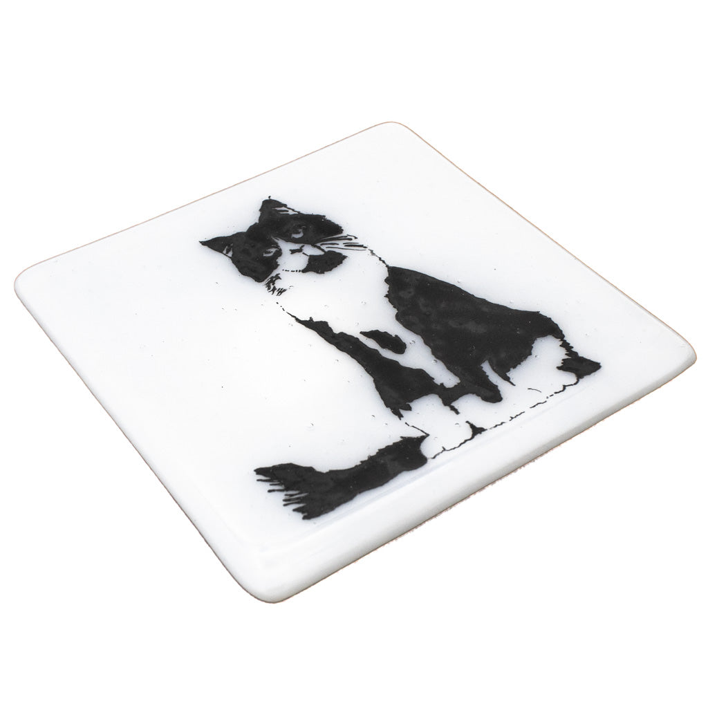 Fluffy Tuxedo Cat - Glass Coaster