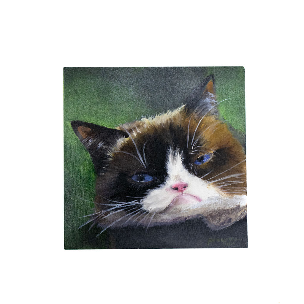 Grumpy Cat - Oil on Wood