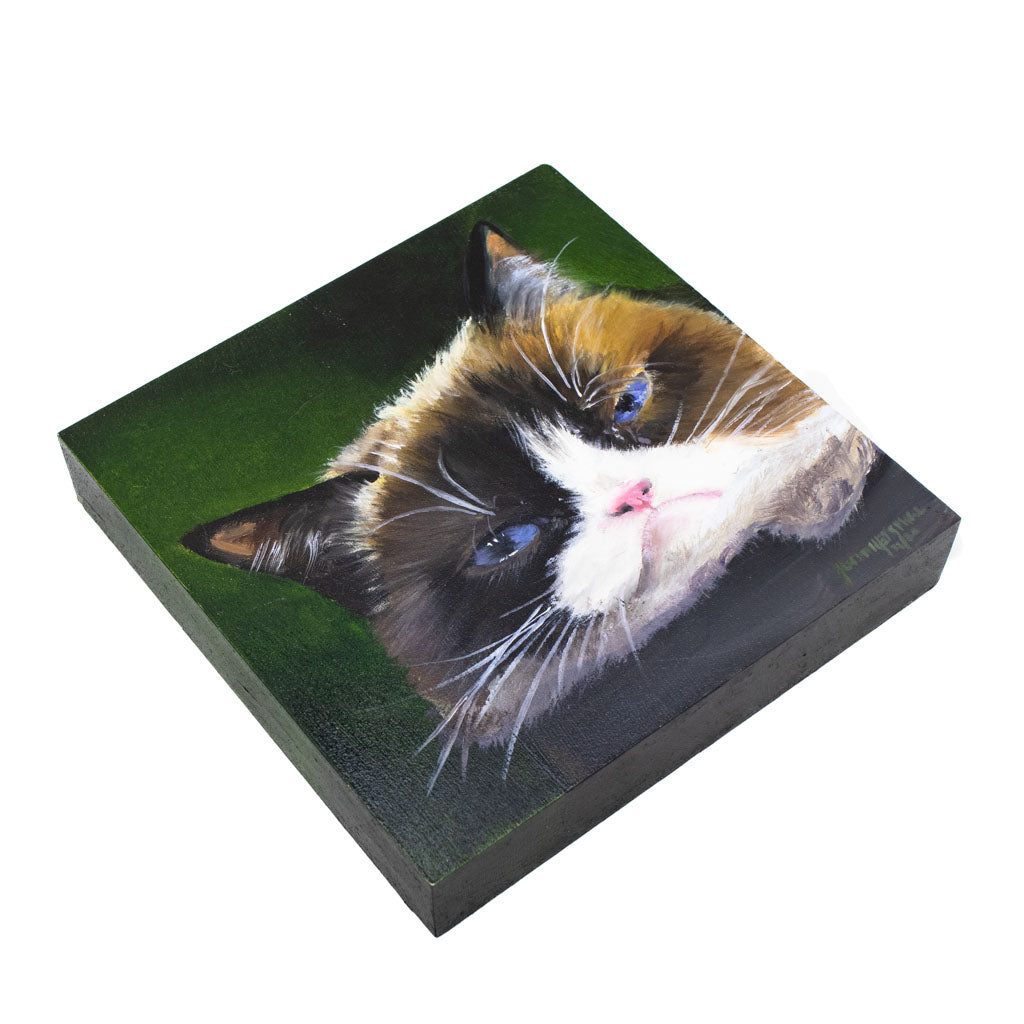 Grumpy Cat - Oil on Wood - GiftyKitty Grumpy Cat - Oil on Wood - GiftyKitty