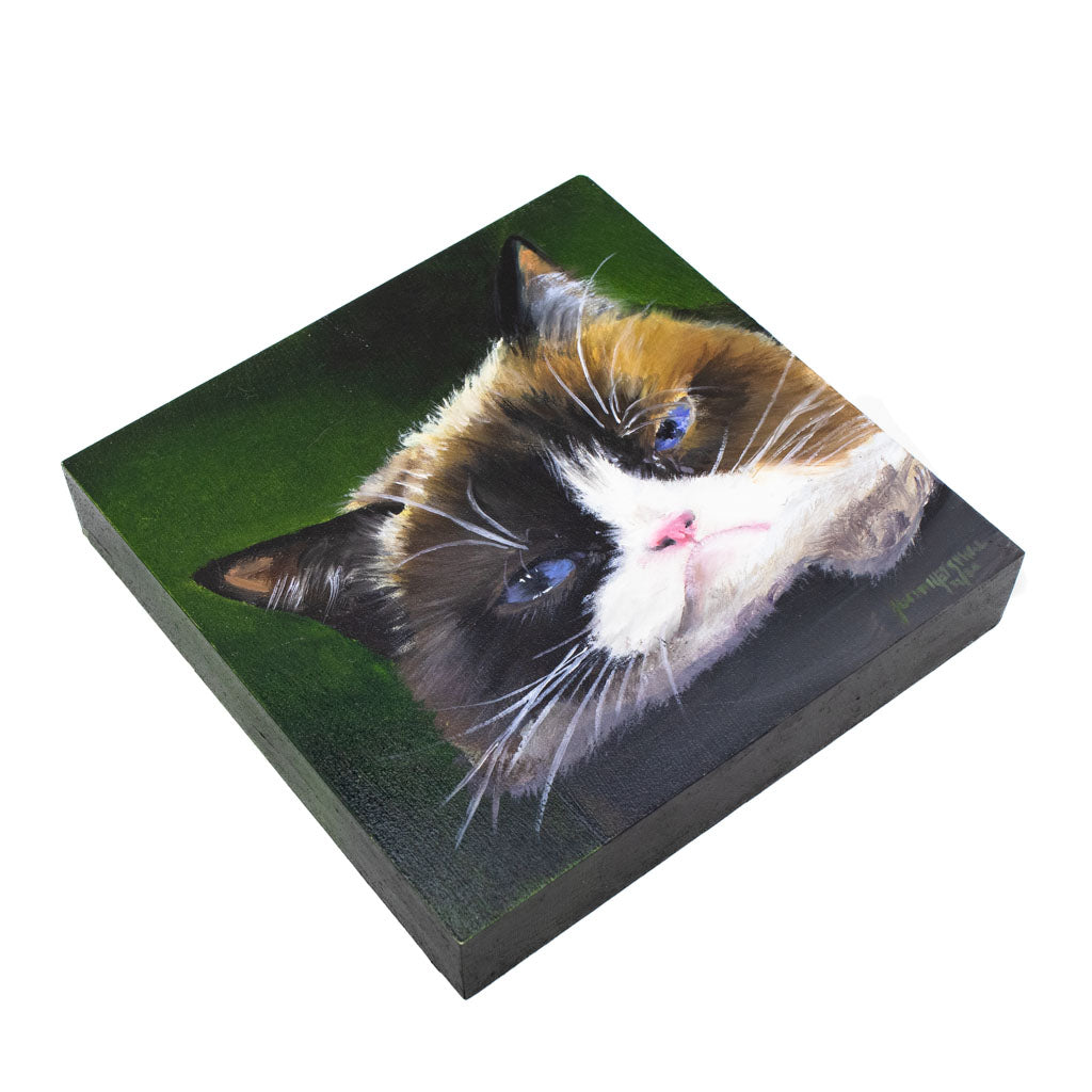 Grumpy Cat - Oil on Wood