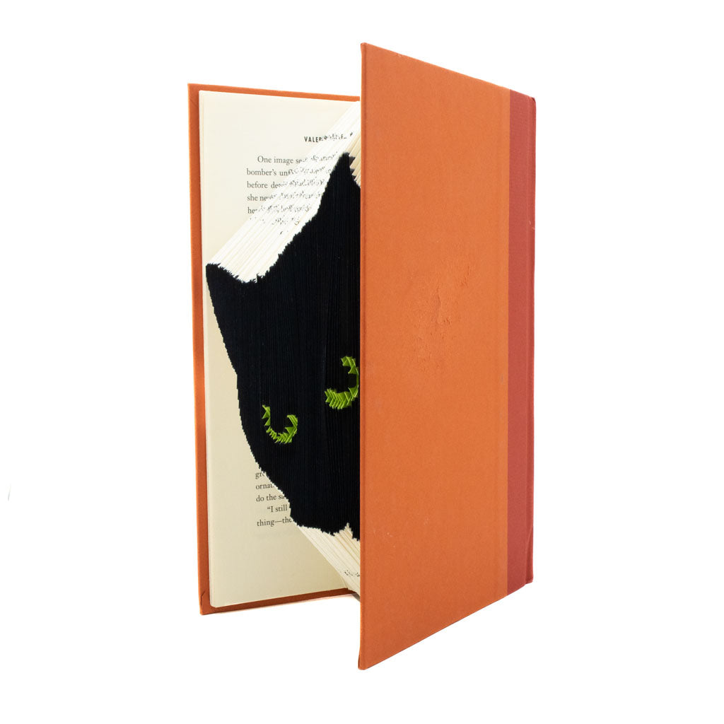 Peeking Black Cat - Orange Book Sculpture